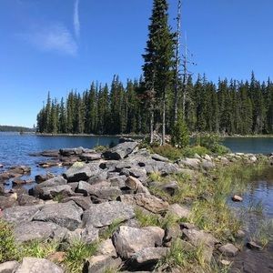 Meet your Posher, Laura